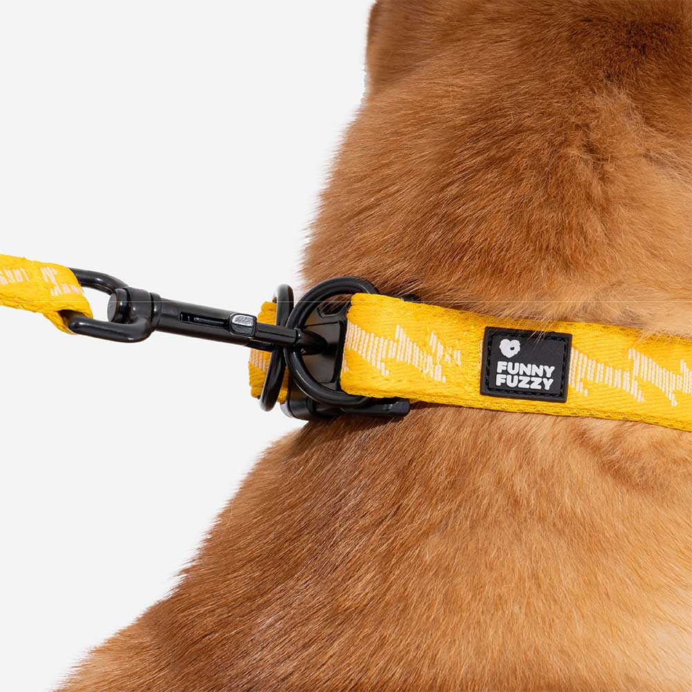 Adjustable Nylon Durable Dog Collar