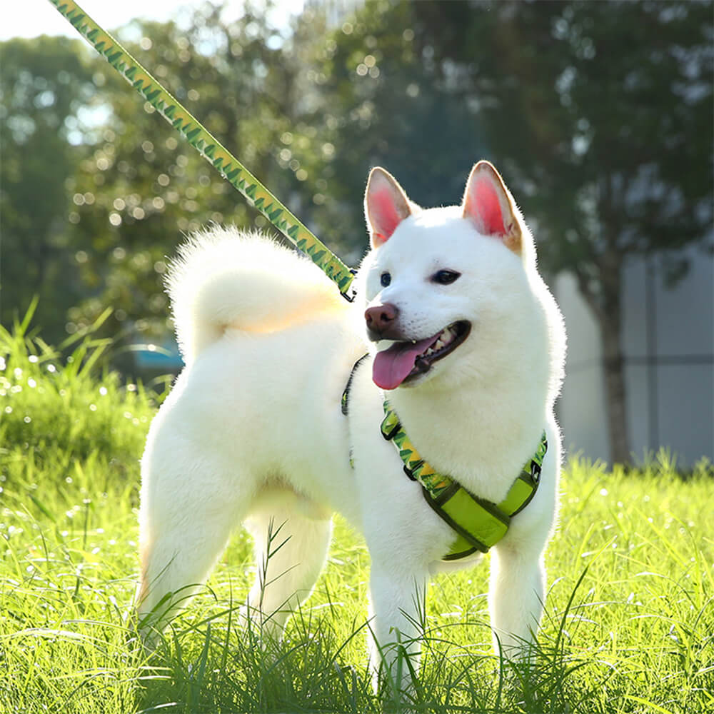X-Shaped Adjustable Durable Dog Harness and Lead