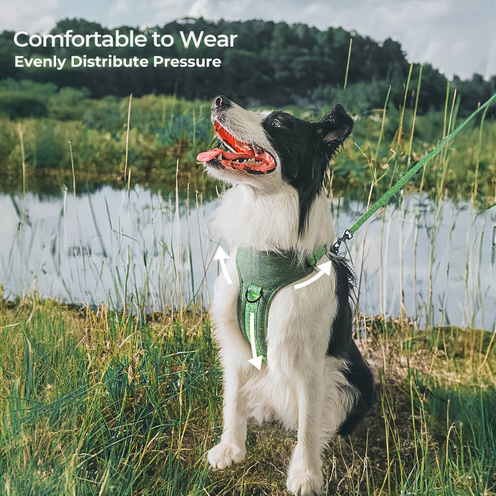 Recycled Fabric No-Pull Dog Harness/Lead