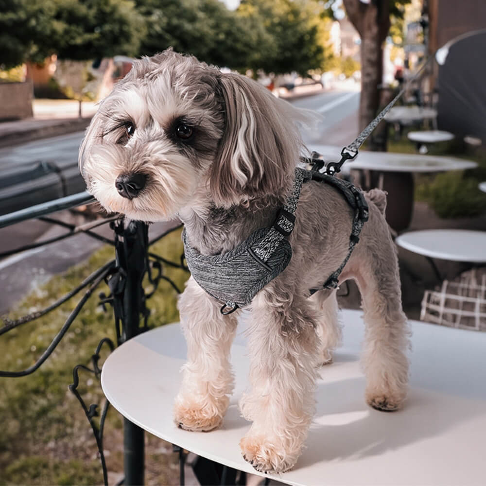 Recycled Fabric No-Pull Dog Harness/Lead
