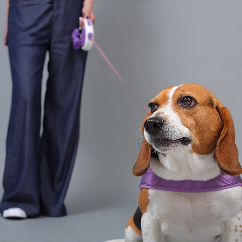 Nylon Adjustable Reflective No-Pull Dog Harness Collar and Lead